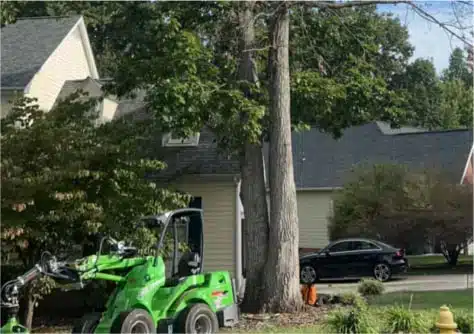 A vehicle in a yard during a tree trimming service in Raleigh, NC